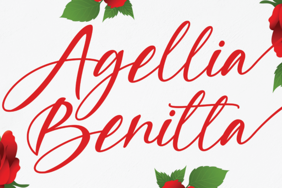 Evaluating Agellia Benitta for Your Next Design Project