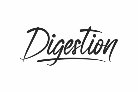 What the Digestion Brush Hand Lettering Font Brings to Your Design Projects